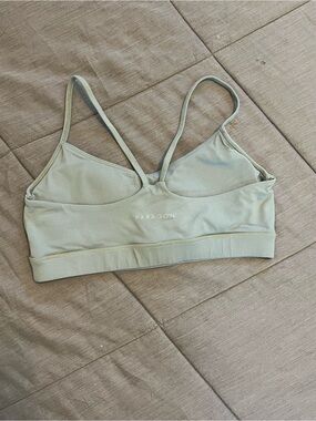 Paragon Razorback Sports Bra